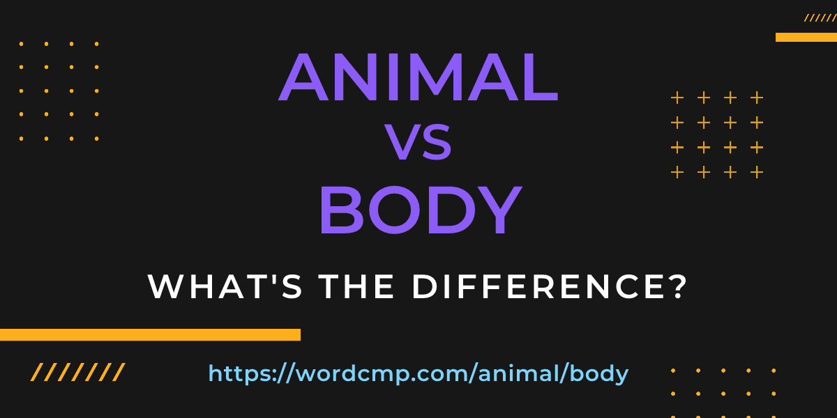 Difference between animal and body