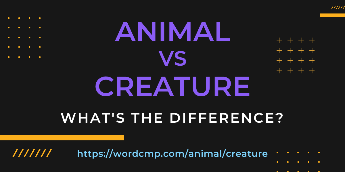 Difference between animal and creature
