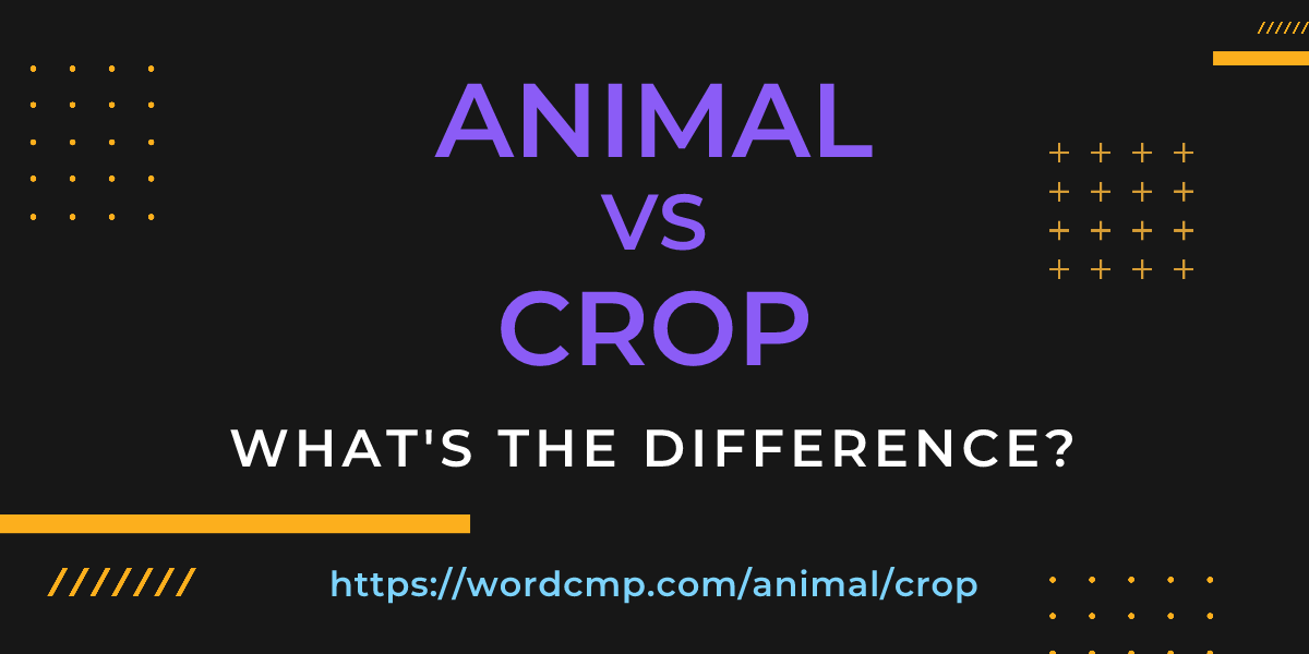 Difference between animal and crop