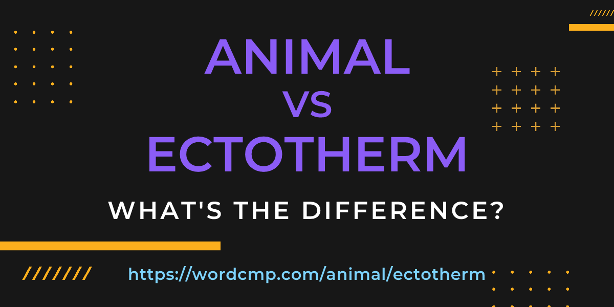 Difference between animal and ectotherm