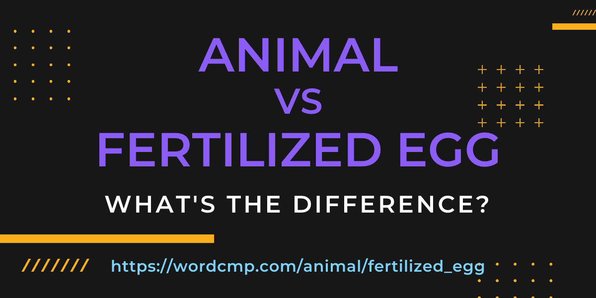 Difference between animal and fertilized egg