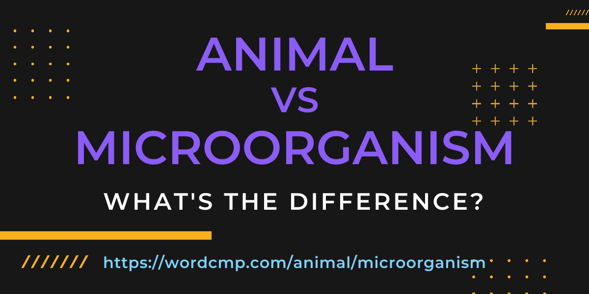 Difference between animal and microorganism