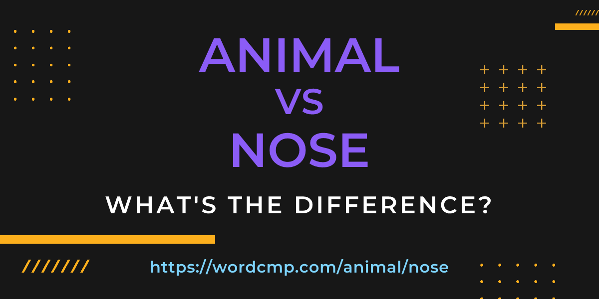 Difference between animal and nose