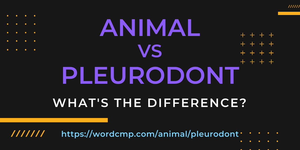 Difference between animal and pleurodont