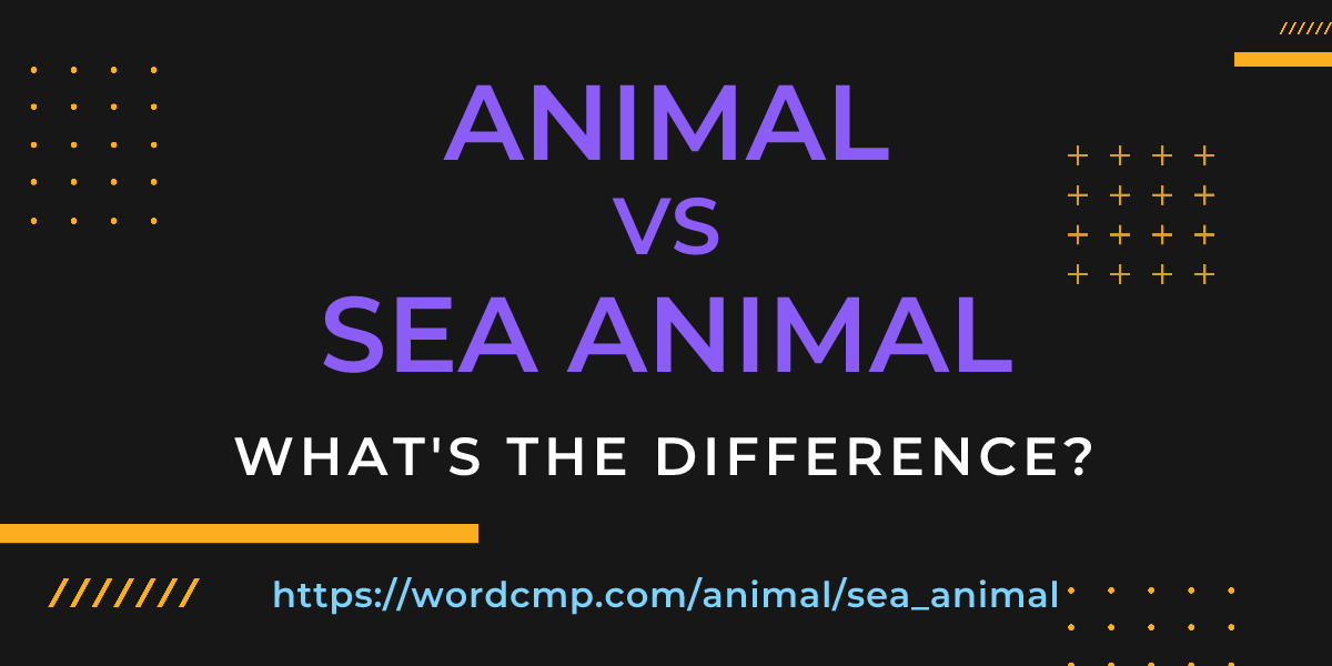 Difference between animal and sea animal
