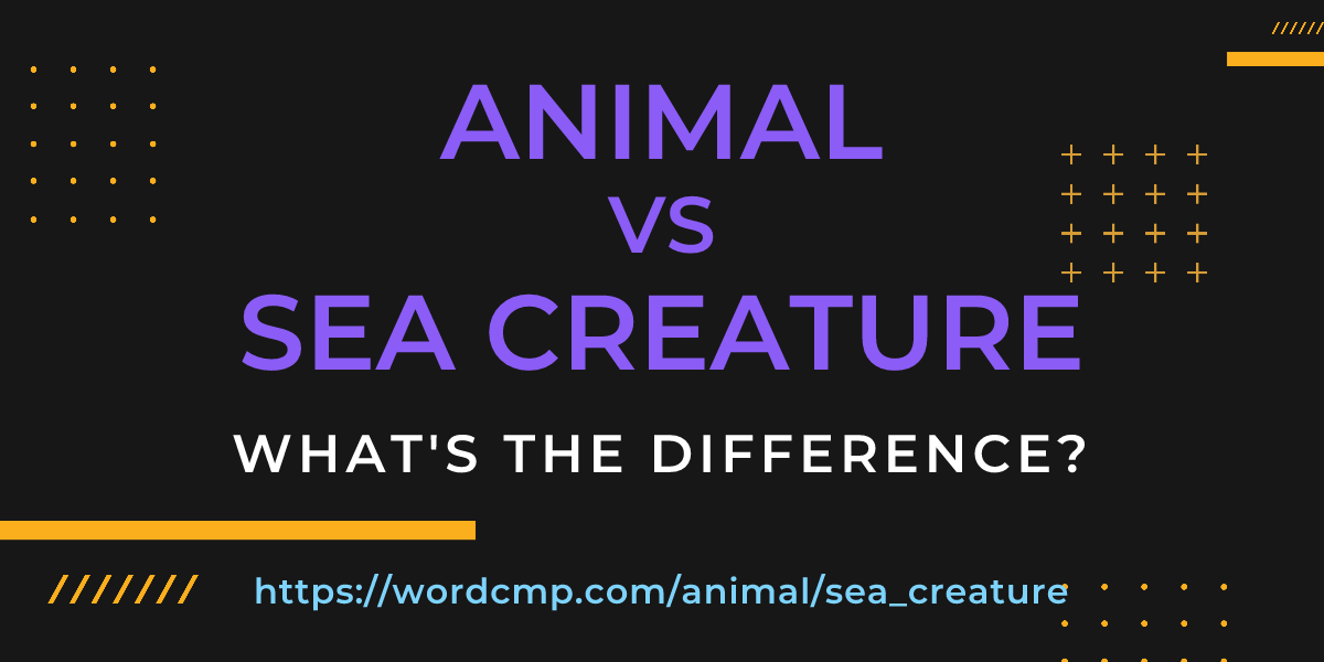 Difference between animal and sea creature