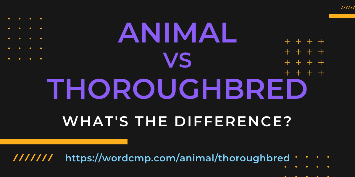 Difference between animal and thoroughbred