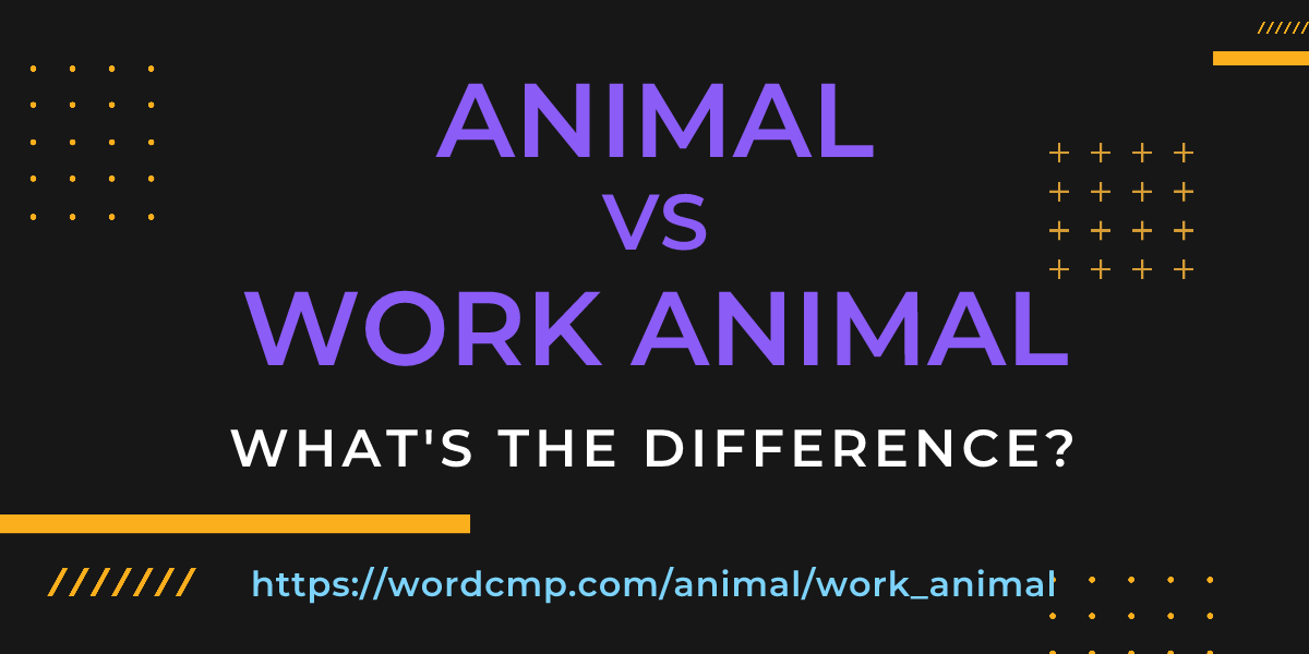 Difference between animal and work animal