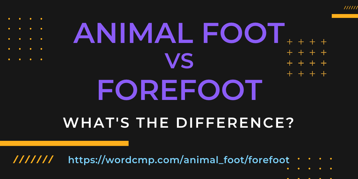 Difference between animal foot and forefoot