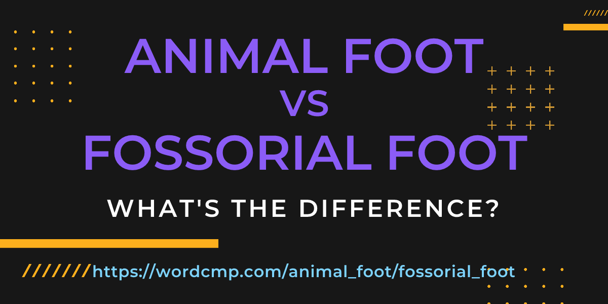Difference between animal foot and fossorial foot