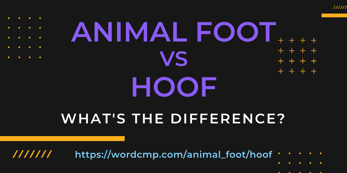 Difference between animal foot and hoof