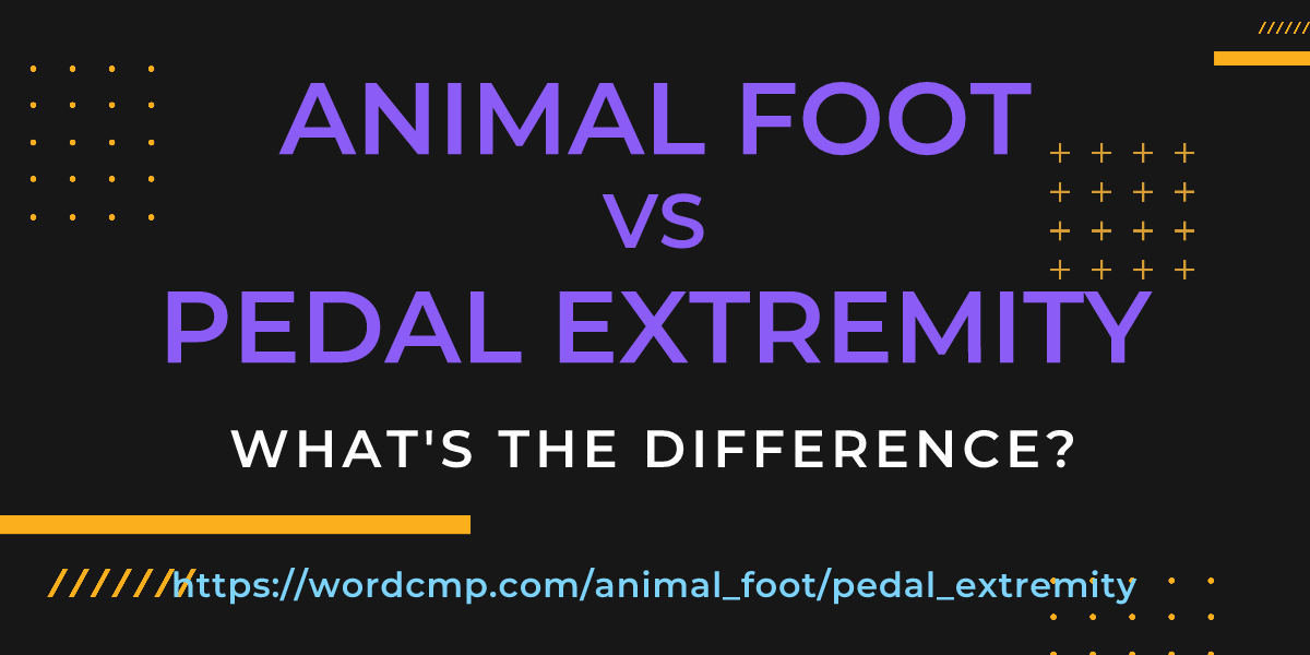 Difference between animal foot and pedal extremity