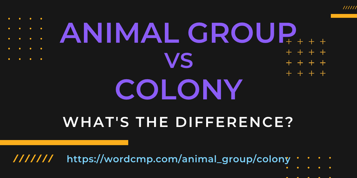 Difference between animal group and colony