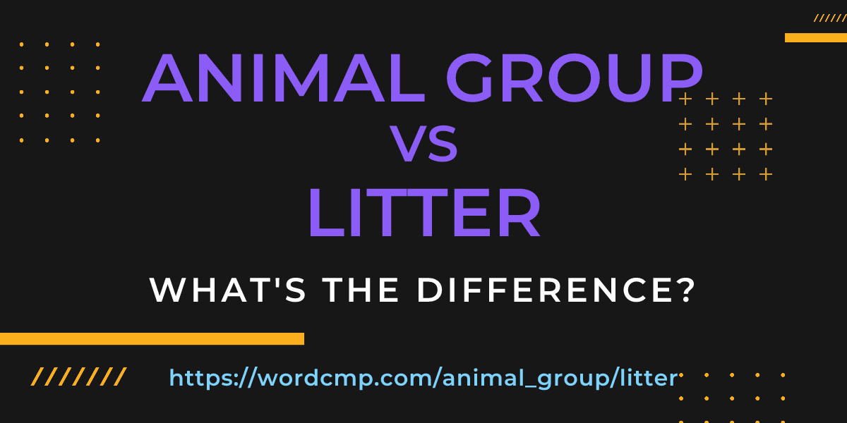 Difference between animal group and litter