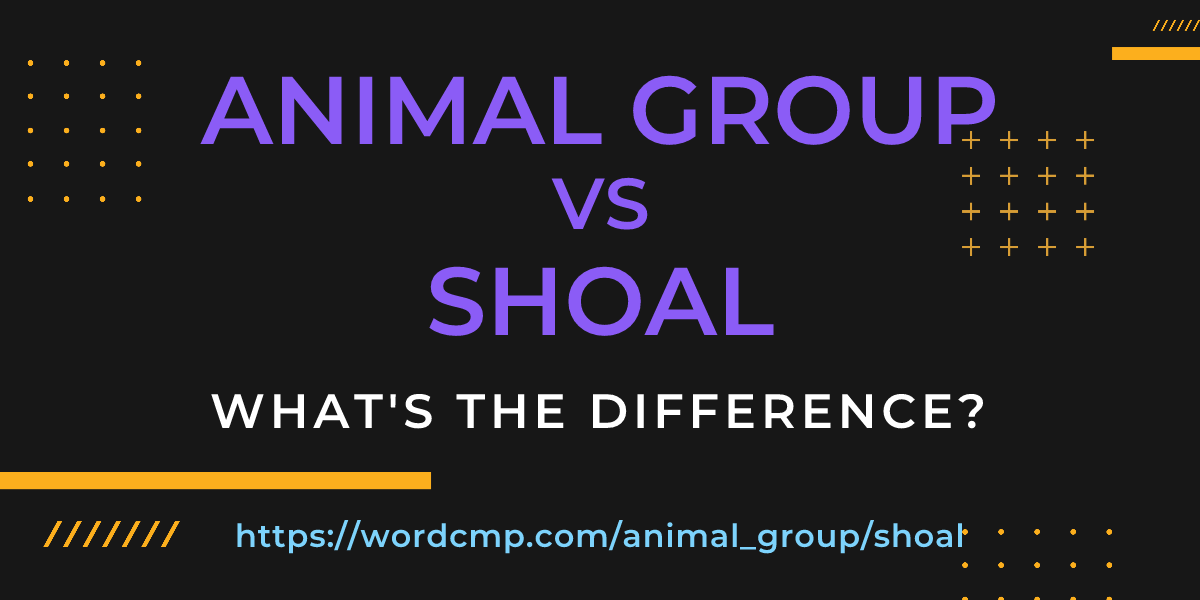 Difference between animal group and shoal