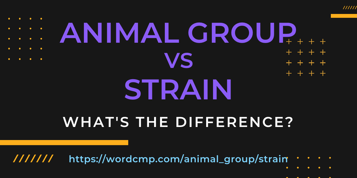 Difference between animal group and strain