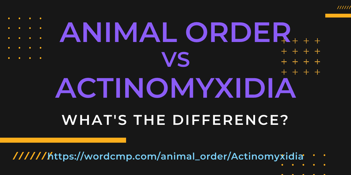 Difference between animal order and Actinomyxidia