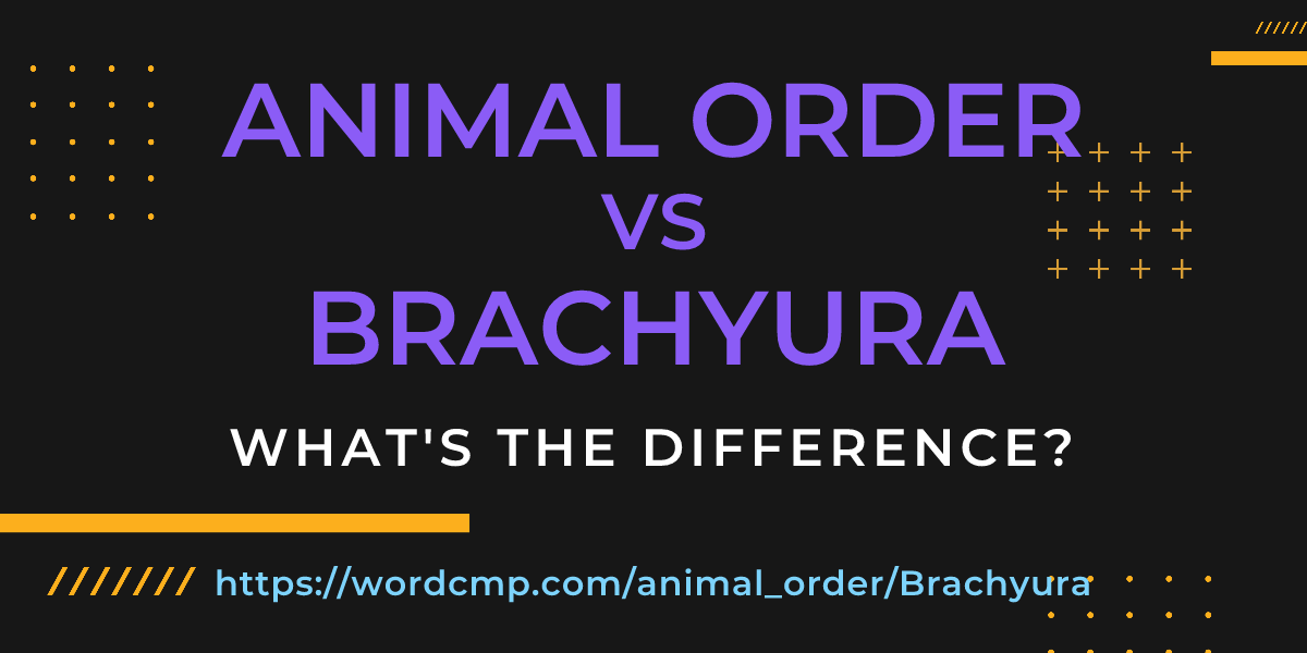 Difference between animal order and Brachyura