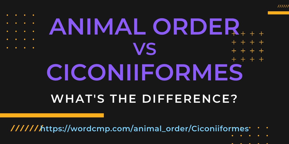 Difference between animal order and Ciconiiformes
