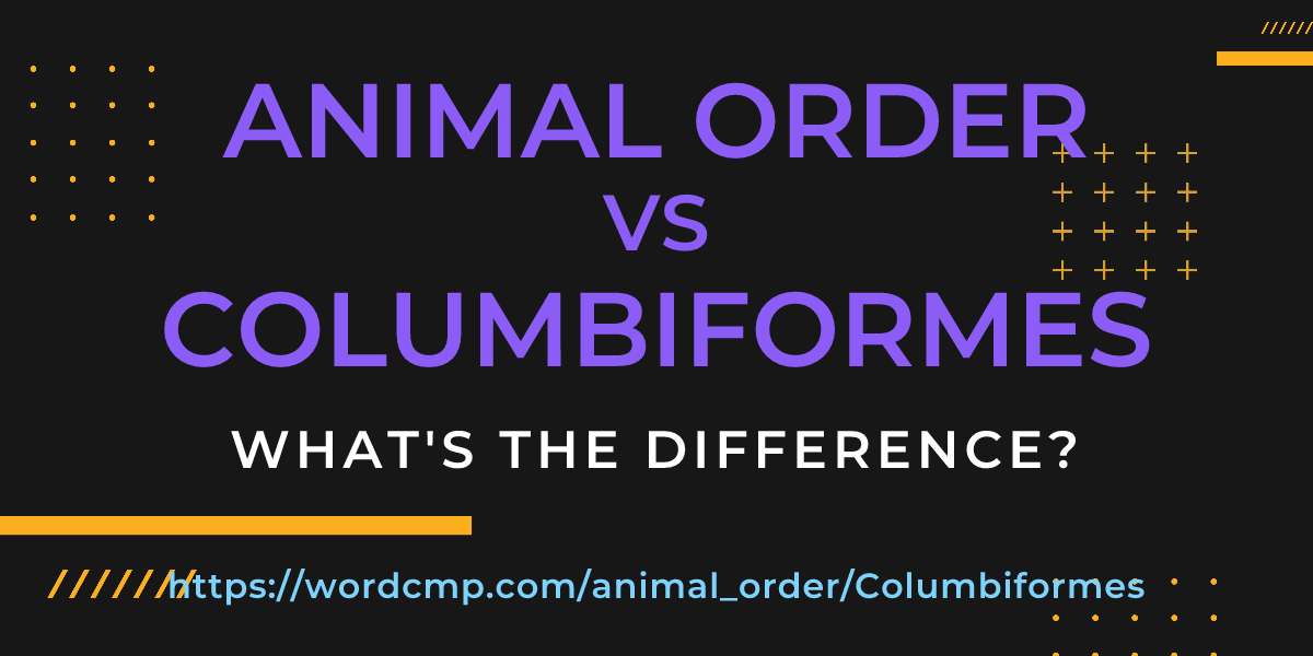 Difference between animal order and Columbiformes