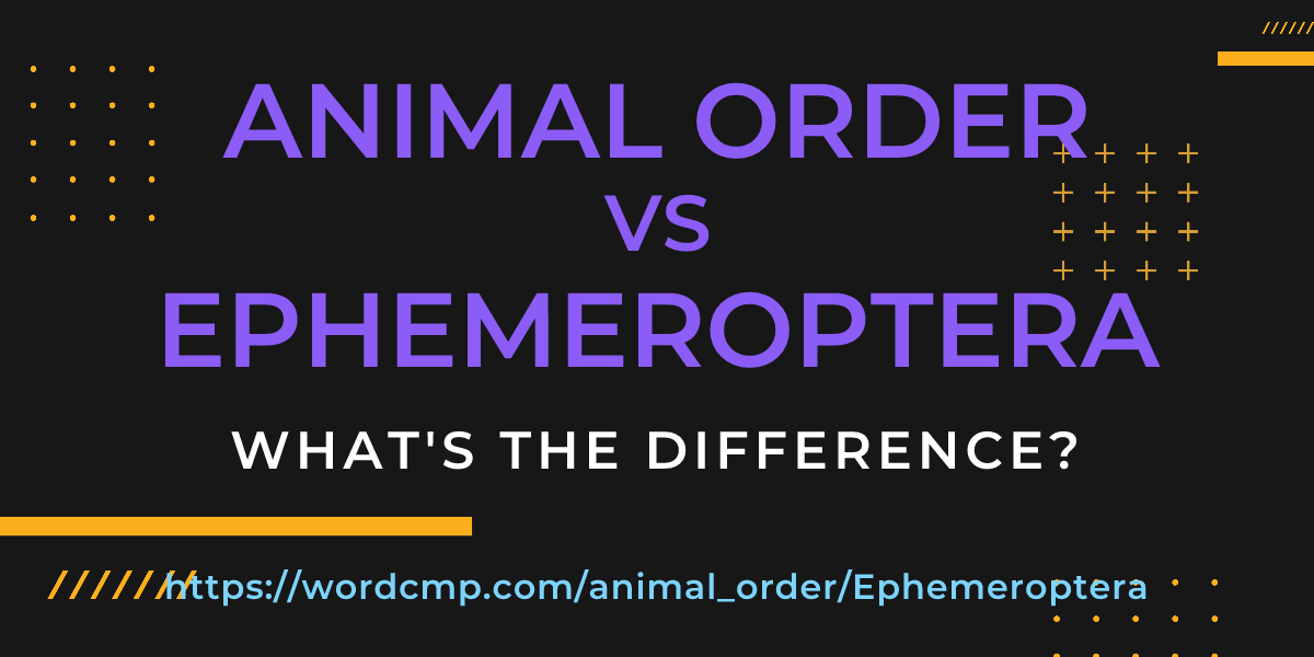 Difference between animal order and Ephemeroptera