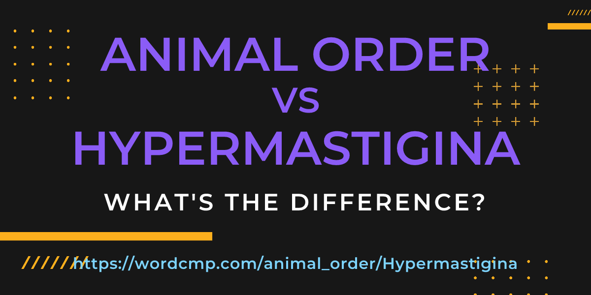Difference between animal order and Hypermastigina