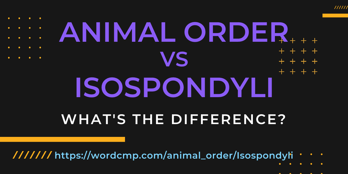 Difference between animal order and Isospondyli