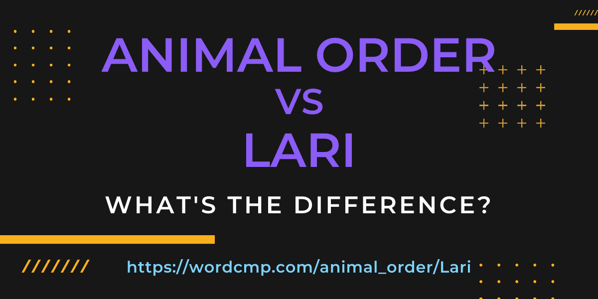 Difference between animal order and Lari