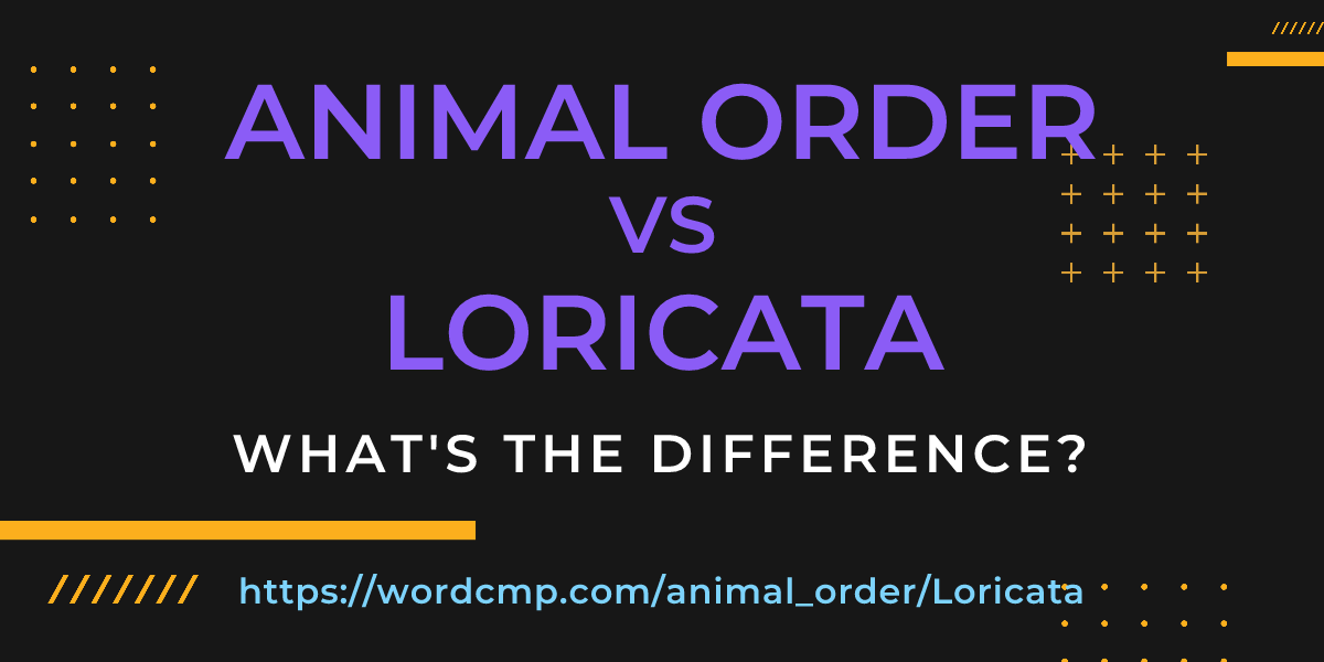Difference between animal order and Loricata