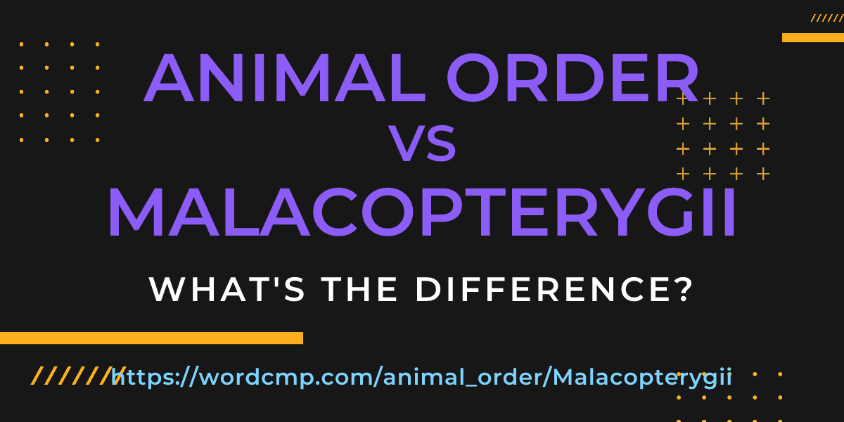 Difference between animal order and Malacopterygii