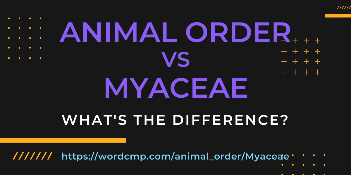 Difference between animal order and Myaceae