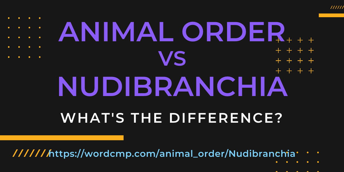 Difference between animal order and Nudibranchia