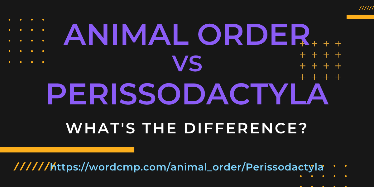 Difference between animal order and Perissodactyla