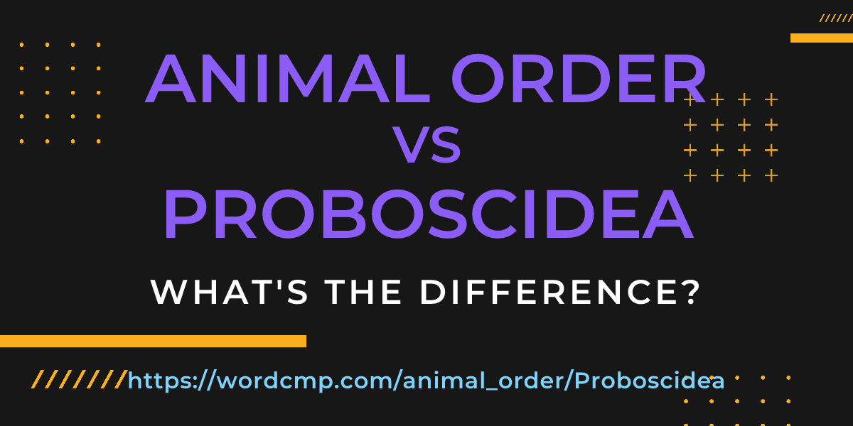 Difference between animal order and Proboscidea