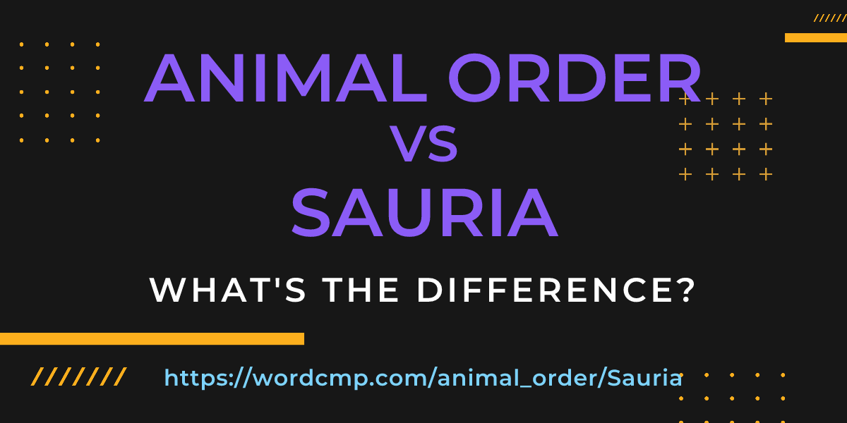 Difference between animal order and Sauria