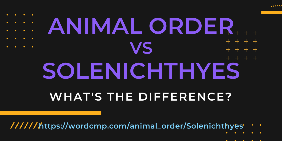 Difference between animal order and Solenichthyes