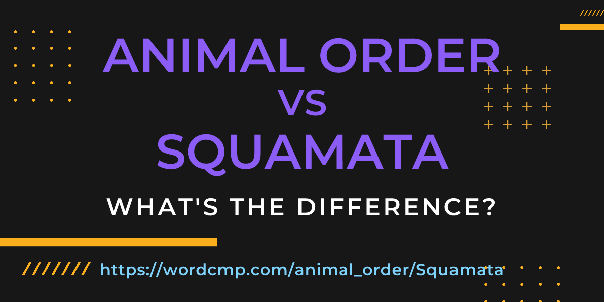 Difference between animal order and Squamata