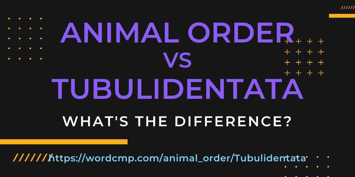 Difference between animal order and Tubulidentata