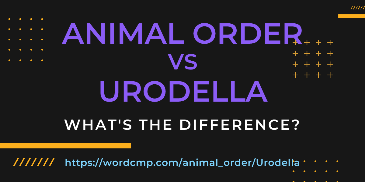 Difference between animal order and Urodella