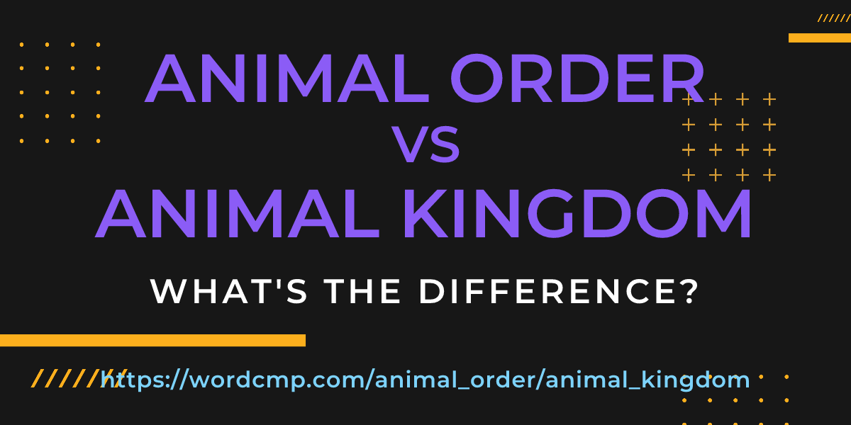 Difference between animal order and animal kingdom