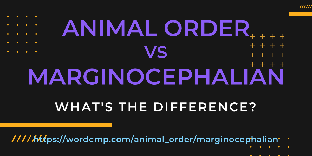 Difference between animal order and marginocephalian
