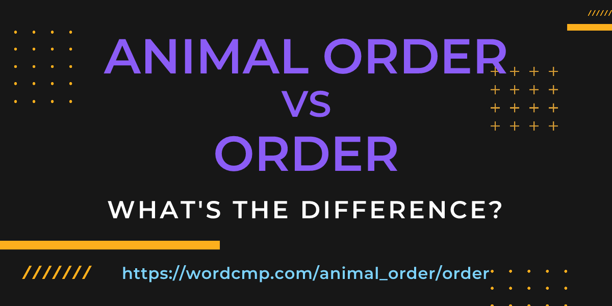 Difference between animal order and order