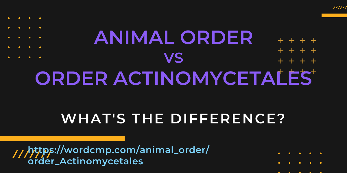 Difference between animal order and order Actinomycetales