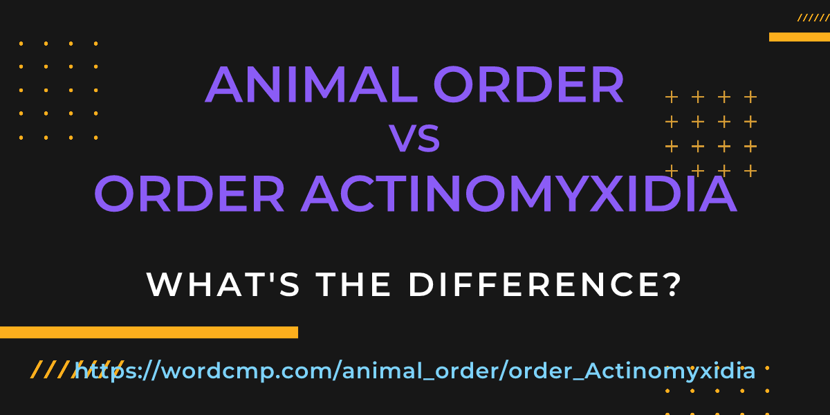 Difference between animal order and order Actinomyxidia