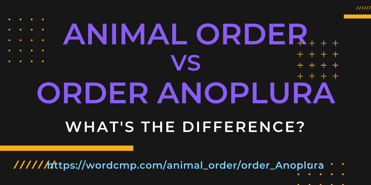 Difference between animal order and order Anoplura