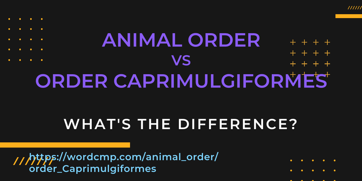 Difference between animal order and order Caprimulgiformes