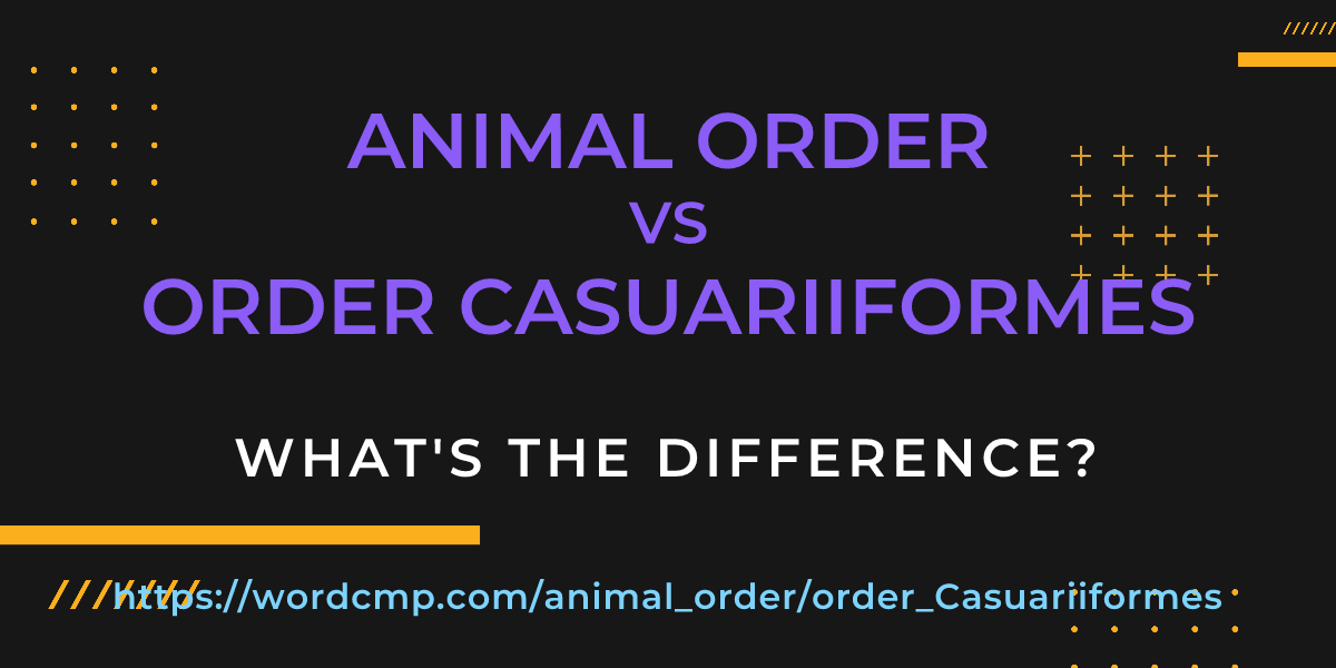 Difference between animal order and order Casuariiformes