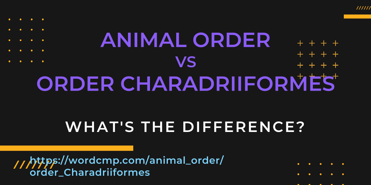 Difference between animal order and order Charadriiformes