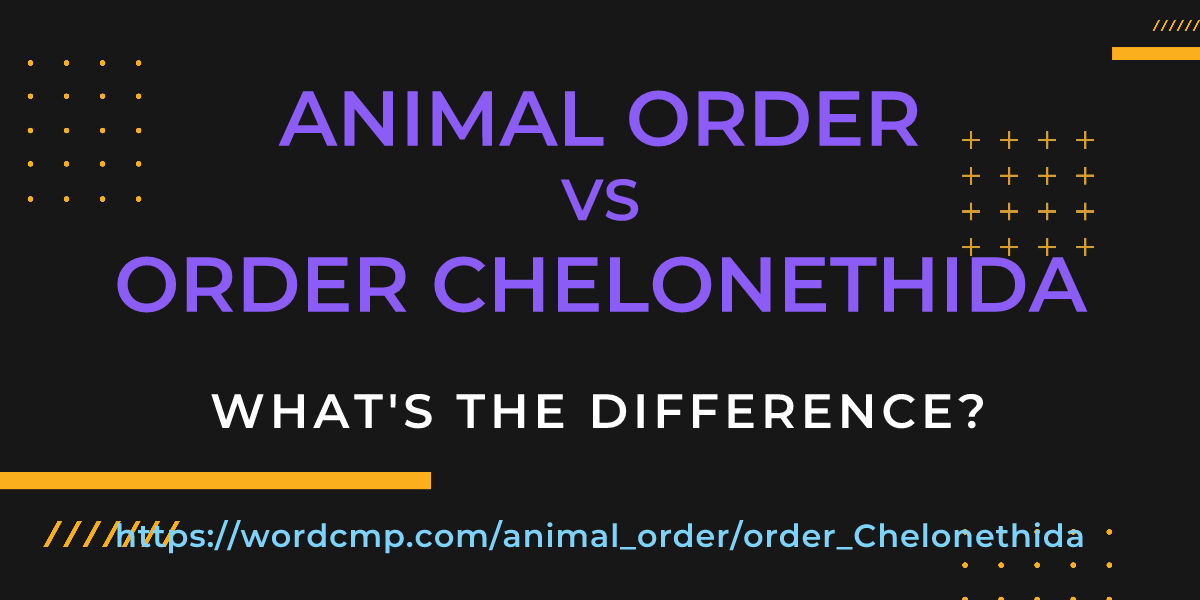 Difference between animal order and order Chelonethida