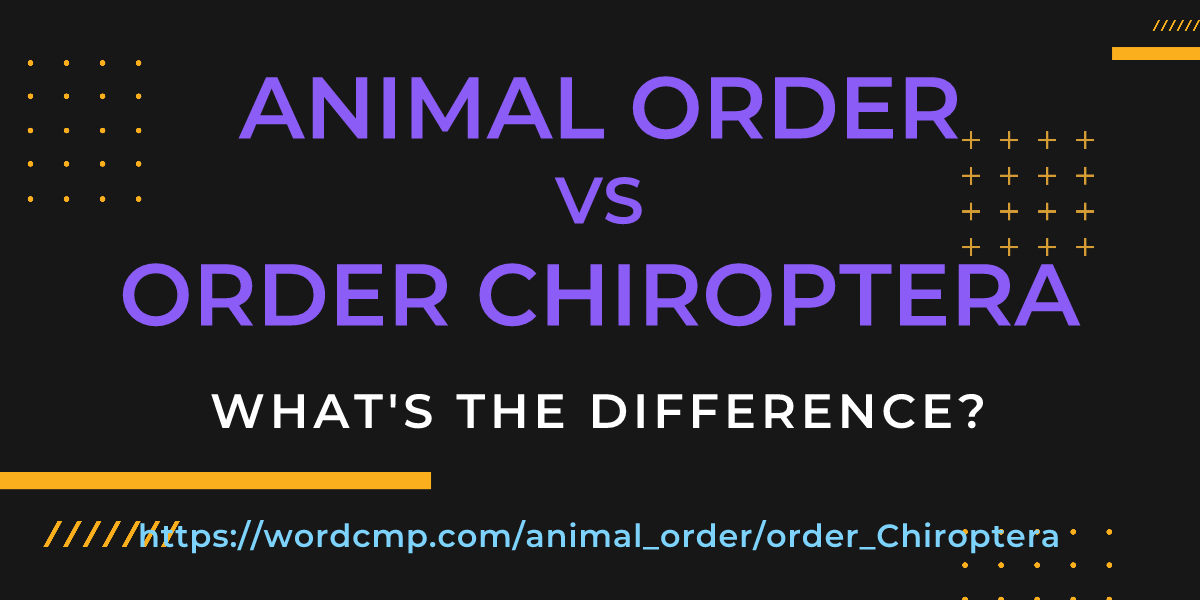 Difference between animal order and order Chiroptera